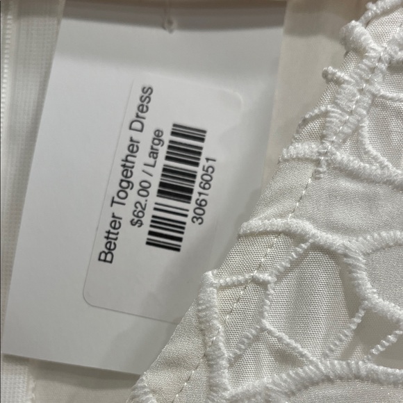 TCEC White Lace Ruffle Mini Dress - Picture 5 of 5